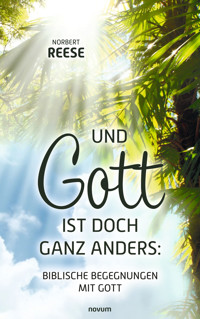 Und Gott ist doch ganz anders: Biblische Begegnungen mit Gott - Norbert Reese - E-Book