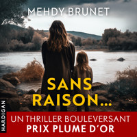 Sans raison - Mehdy Brunet - Hörbuch