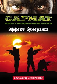 Эффект бумеранга - Александр Звягинцев - E-Book