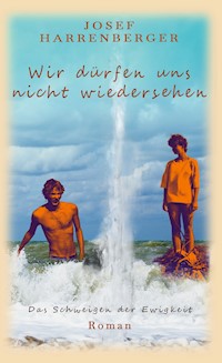 Wir dürfen uns nicht wiedersehen - Josef Harrenberger - E-Book