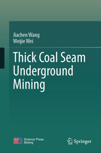 Thick Coal Seam Underground Mining - Jiachen Wang - E-Book