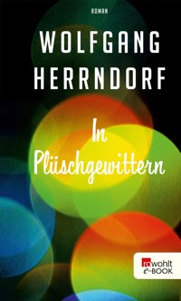 In Plüschgewittern - Wolfgang Herrndorf - E-Book