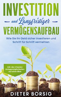 Investition und langfristiger Vermögensaufbau: Wie Sie Ihr Geld sicher investieren und Schritt für Schritt vermehren - inkl. den 4 besten Anlagemöglichkeiten auf einen Blick - Dieter Borsig - E-Book