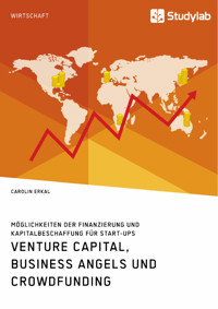 Venture Capital, Business Angels und Crowdfunding. Möglichkeiten der Finanzierung und Kapitalbeschaffung für Start-ups - Carolin Erkal - E-Book