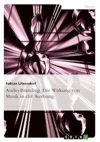 Audio-Branding. Die Wirkung von Musik in der Werbung - Fabian Litzendorf - E-Book