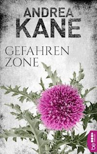 Gefahrenzone - Andrea Kane - E-Book