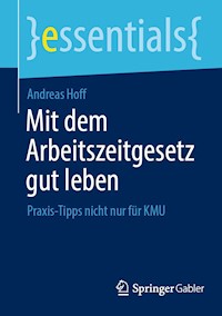 Mit dem Arbeitszeitgesetz gut leben - Andreas Hoff - E-Book