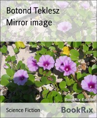 Mirror image - Botond Teklesz - E-Book
