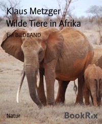 Wilde Tiere in Afrika - Klaus Metzger - kostenlos E-Book
