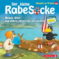 Neues Ufer, Die verfluchte Teekanne, Der große Sockini  (Der kleine Rabe Socke - Hörspiele zur TV Serie 9) - Katja Grübel - Hörbuch