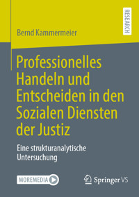 Professionelles Handeln und Entscheiden in den Sozialen Diensten der Justiz - Bernd Kammermeier - E-Book