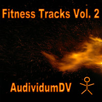 Fitness Tracks, Vol. 2 - AudividumDV - Hörbuch