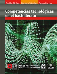 Competencias tecnológicas en el bachillerato - Ruth Padilla Muñoz - E-Book