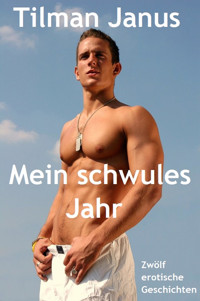 Mein schwules Jahr - Tilman Janus - E-Book