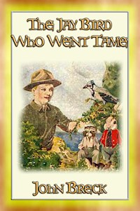 THE JAY BIRD WHO WENT TAME - Twilight Stories Book VIII - John Breck - E-Book