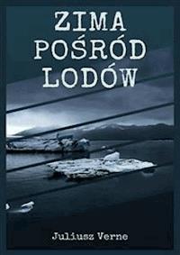 Zima pośród lodów - Juliusz Verne - E-Book