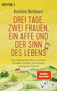 Drei Tage, zwei Frauen, ein Affe und der Sinn des Lebens - Karolien Notebaert - E-Book