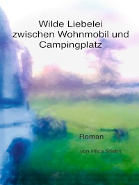 Wilde Liebelei zwischen Wohnmobil und Campingplatz - Hilca Stiehn - E-Book