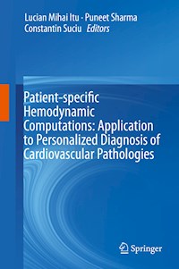 Patient-specific Hemodynamic Computations: Application to Personalized Diagnosis of Cardiovascular Pathologies - - E-Book