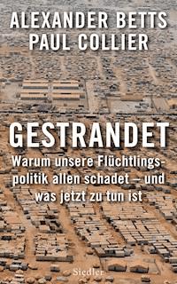 Gestrandet - Alexander Betts - E-Book