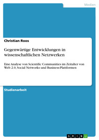 Gegenwärtige Entwicklungen in wissenschaftlichen Netzwerken - Christian Roos - E-Book