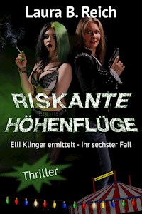 Riskante Höhenflüge - Laura B. Reich - E-Book