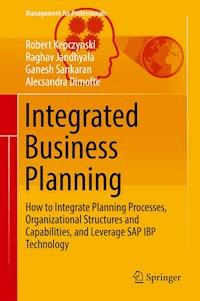 Integrated Business Planning - Robert Kepczynski - E-Book