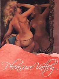 Pleasure Valley - George Willson - E-Book