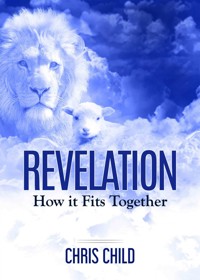 Revelation- How It Fits Together - Chris Child - E-Book
