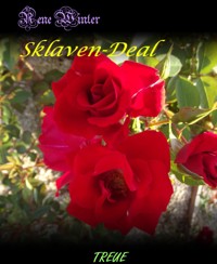 Sklaven-Deal - Rene Winter - E-Book
