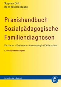 Praxishandbuch Sozialpädagogische Familiendiagnosen - Stephan Cinkl - E-Book