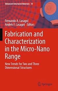 Fabrication and Characterization in the Micro-Nano Range -  - E-Book
