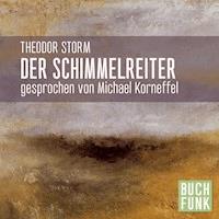Der Schimmelreiter - Theodor Storm - Hörbuch
