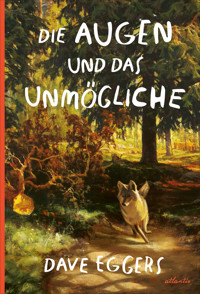 Die Augen und das Unmögliche - Dave Eggers - E-Book