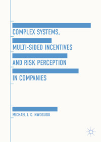 Complex Systems, Multi-Sided Incentives and Risk Perception in Companies - Michael I. C. Nwogugu - E-Book