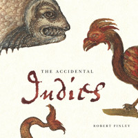 The Accidental Indies (Unabridged) - Robert Finley - Hörbuch