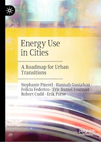 Energy Use in Cities - Stephanie Pincetl - E-Book