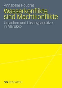 Wasserkonflikte sind Machtkonflikte - Annabelle Houdret - E-Book