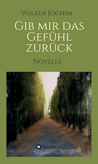 Gib mir das Gefühl zurück - Volker Jochim - E-Book