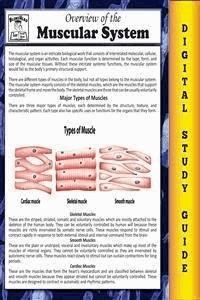 Muscular System (Blokehead Easy Study Guide) - The Blokehead - E-Book