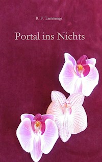 Portal ins Nichts - R.F. Tamminga - E-Book