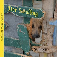 Der Sandling - B. Vogt - Hörbuch