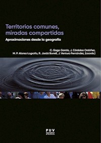 Territorios comunes, miradas compartidas - AAVV - E-Book