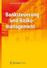Banksteuerung und Risikomanagement - Johannes Wernz - E-Book
