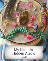 My Name Is Hidden Arrow - C.L.B. - E-Book