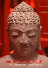 Aus dem Leid ins Licht - Gudrun Anders - E-Book