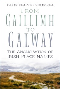 From Gaillimh to Galway - Tom Burnell - E-Book