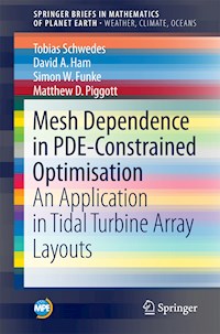 Mesh Dependence in PDE-Constrained Optimisation - Tobias Schwedes - E-Book