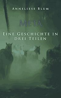 Meta - Anneliese Blum - E-Book