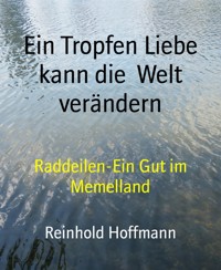 Ein Tropfen Liebe kann die  Welt verändern - Reinhold Hoffmann - E-Book